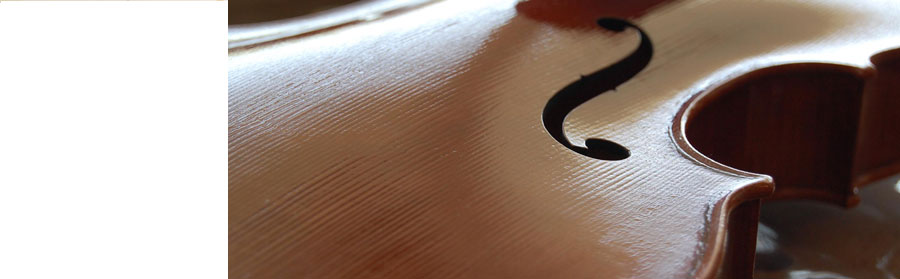 violin varnish